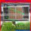 Grass Seedling Nurture Room