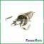 Electric Fence Stainless Steel Tension Spring