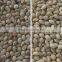 New Software CCD Beans Color Sorting Machine / Raisin Color Sorter / Rice Color Sorter With Factory Price