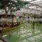 Multi-Span Greenhouse With vegetable aquaculture system