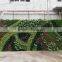 fake green wall/artificial green wall vertical plant wall