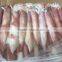 sea Frozen Loligo chinensis ,for Italy ,Greece et ,EU market