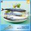 Wholesale Mackerel Frozen Foods