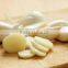 Garlic Dry Extract