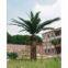 Artificial Date Palm Tree