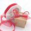 2015 best selling gift bownot wrapping ribbon organza drawing packing ribbon