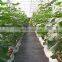 70g/m2 -150g/m2Ground Cover 6x300ft Heavy PP Woven Weed Barrier,Soil Erosion Control and UV stabilized, Plastic Mulch Weed Block
