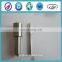 6801087 Nozzle DELP Fuel Injector Nozzle 6801087 With Lowest Price