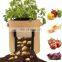 Non Woven felt Grow Bags for vegetable potato