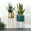 Flower Pot Floor Stand Indoor Display Rack Gold Wholesale Cactus Plants & Planters Metal Garden IRON Modern Home Wedding Kitchen