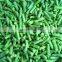 Sinocharm Frozen vegetable BRC A Approved 8-11CM IQF Asparagus Bean Cut Frozen Long Bean