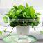 Unique Artificial Wedding Garden Tiny Indoor Plant Cheap Outdoor Decorative Small Large Plastic Flower Pots