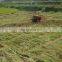 Factory Price green bean harvester