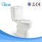 Modern Bathroom Washdown Two-piece Sanitary Toilet