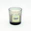 Painted scented candle/ scented soybean candle/ scented candle in glass jar