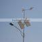 Professional outdoor led vertical turbine wind solar hybrid street light