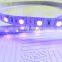 Long lifespan UV led strip, 5 meters per roll with high Lumen