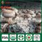 Mushroom Seller Agricultural Products Vegeatable Fresh Dried Shiitake Mushroom Log Shiitake Mushroom Spawn for Mushroom Farm