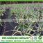 Landscape Perforated Nonwoven PP Spunbonded Fabric