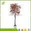 high simullation plastic maple bonsai tree in promotion