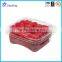 Plastic Blueberry Packing Box Clear Plastic Vegetable Box Grapes Packing Boxes
