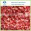 Sell Diced IQF Red Bell Pepper