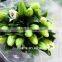 Low Prizes Fresh Cut Lilium Flower With Good Smell