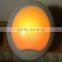 LED color changing night lights with BS, CE, ROHS