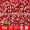 Red skin raw peanut for sale from China