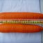 best price carrot buyer