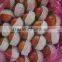 10kg pack fresh china qinguan apple