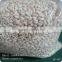 supplier of commom raw peanut kernels 25/29 in bulk package