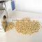high quality VIETNAM CASHEW NUT