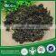 Wild Natural Black Peat Moss Green Vegetables Wholesale
