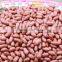 wasabi roasted coated peanuts