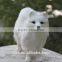 Animated Toy Siberian Husky Puppies for Sale