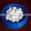 Economica Nest the pigeon nest pet plastic accessories bird nest pet product