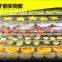 Square digital fruit dehydrator machine 10 layer