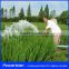 Powerician 750W AC Solar Pumping System For Water Supply Flow 3CBM/h Head 49m Solar Watering System Kits NO. AK3-49-750
