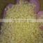 Jinan Eagle wafers pellets extruder