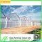 Gutter Height Commercial Polycarbonate Greenhouse for Used