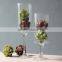 Decoration tall cylinder glass flower vase with stem for home wedding table centerpieces