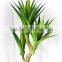 Evergreen fake tropical bonsai plants