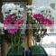 HY wholesale floral foam for fresh flowers & wedding decoration