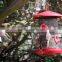 Outdoor Decorative Garden window bird feeder