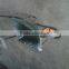 green color wheel barrow WB3800