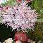 artificial silk decorative xmas flower cherry blossom flower