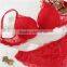 2016 sexy hot designer underwire soft bra panty set