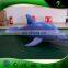 Vivid Inflatable Blue Whale / Hongyi Design PVC Animal Whale Toys