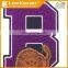 Lion chenille embroidery patches for clothing